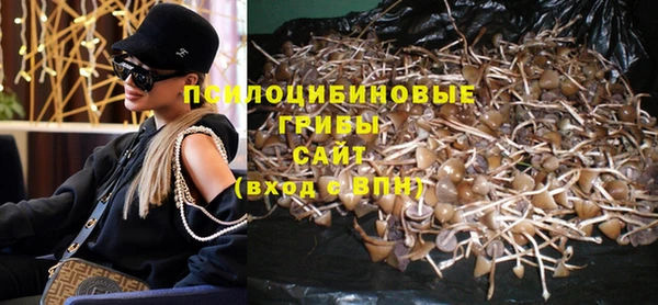 дмт Арсеньев