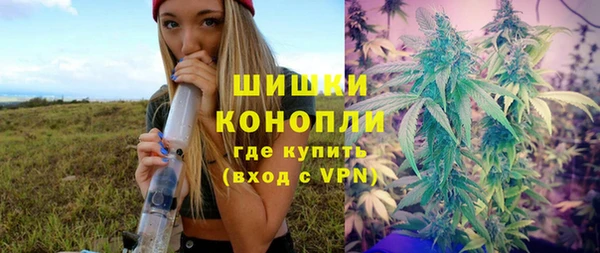 дмт Арсеньев