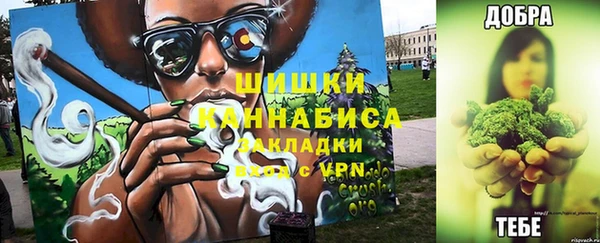 ешки Аркадак